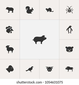 Set of 13 editable animal icons. Includes symbols such as bear, cock, penguin and more. Can be used for web, mobile, UI and infographic design.