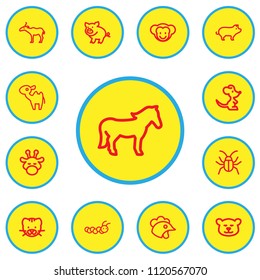 Set of 13 editable animal icons line style. Includes symbols such as cockroach, caterpillar, cougar and more. Can be used for web, mobile, UI and infographic design.