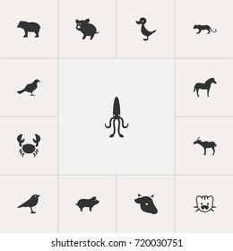 Set Of 13 Editable Animal Icons. Includes Symbols Such As Beast, Octopus, Pig And More. Can Be Used For Web, Mobile, UI And Infographic Design.