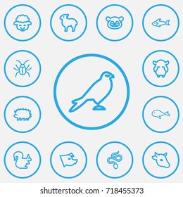 Set Of 13 Editable Animal Outline Icons. Includes Symbols Such As Snake, Bear, Cachalot And More. Can Be Used For Web, Mobile, UI And Infographic Design.
