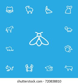 Set Of 13 Editable Animal Outline Icons. Includes Symbols Such As Cockerel, Rodent Desert, Zebra And More. Can Be Used For Web, Mobile, UI And Infographic Design.