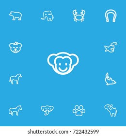 Set Of 13 Editable Animal Outline Icons. Includes Symbols Such As Fish, Cougar, Elephant And More. Can Be Used For Web, Mobile, UI And Infographic Design.