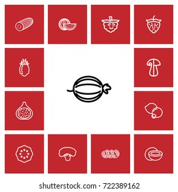 Set Of 13 Editable Cooking Outline Icons. Includes Symbols Such As Blueberry, Blackberry, Berry And More. Can Be Used For Web, Mobile, UI And Infographic Design.