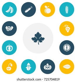 Set Of 13 Editable Food Icons. Includes Symbols Such As Jungle Fruit, Pumpkin, Leaf And More. Can Be Used For Web, Mobile, UI And Infographic Design.