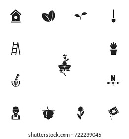 Set Of 13 Editable Gardening Icons. Includes Symbols Such As Pot Bush, Breeze Direction, Blackberry And More. Can Be Used For Web, Mobile, UI And Infographic Design.