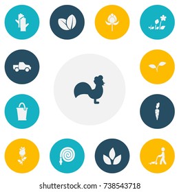 Set Of 13 Editable Gardening Icons. Includes Symbols Such As Ranunculus, Envitoment, Root Vegetable And More. Can Be Used For Web, Mobile, UI And Infographic Design.