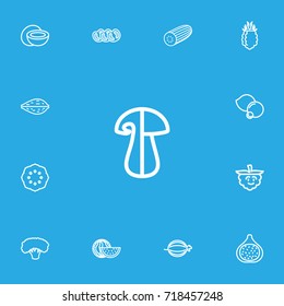 Set Of 13 Editable Kitchenware Outline Icons. Includes Symbols Such As Blueberry, Tropical Fruit, Coconut And More. Can Be Used For Web, Mobile, UI And Infographic Design.