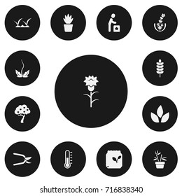 Set Of 13 Editable Planting Icons. Includes Symbols Such As Lawn, Fruit Woods, Lilac And More. Can Be Used For Web, Mobile, UI And Infographic Design.