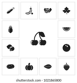 Set of 13 editable vegetable icons. Includes symbols such as sliced watermelon, cucumber, amygdalaceous and more. Can be used for web, mobile, UI and infographic design.