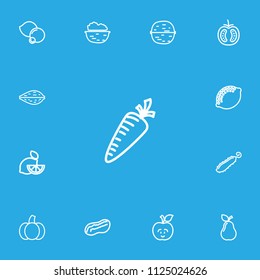 Set of 13 editable vegetable icons line style. Includes symbols such as pecan, gourd, funny apple and more. Can be used for web, mobile, UI and infographic design.