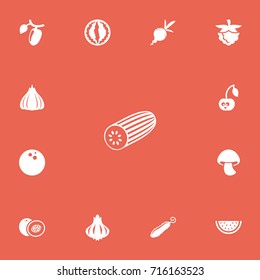 Set Of 13 Editable Vegetable Icons. Includes Symbols Such As Barberry, Mushroom, Cucumber And More. Can Be Used For Web, Mobile, UI And Infographic Design.