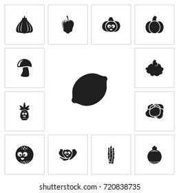 Set Of 13 Editable Vegetable Icons. Includes Symbols Such As Sweet Pepper, Tropical Fruit, Cep And More. Can Be Used For Web, Mobile, UI And Infographic Design.