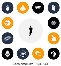 Set Of 13 Editable Vegetable Icons. Includes Symbols Such As Muskmelon, Eggplant, Barberry And More. Can Be Used For Web, Mobile, UI And Infographic Design.