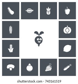 Set Of 13 Editable Vegetable Icons. Includes Symbols Such As Garnet, Aubergine, Nectarine And More. Can Be Used For Web, Mobile, UI And Infographic Design.