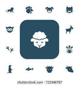 Set Of 13 Editable Zoo Icons. Includes Symbols Such As Night Fowl, Bull, Groundhog And More. Can Be Used For Web, Mobile, UI And Infographic Design.