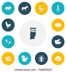 Set Of 13 Editable Zoo Icons. Includes Symbols Such As Stallion, Owl, Sow And More. Can Be Used For Web, Mobile, UI And Infographic Design.