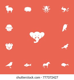 Set of 13 editable zoo icons. Includes symbols such as sea predator, desert rodent, hedgehog and more. Can be used for web, mobile, UI and infographic design.