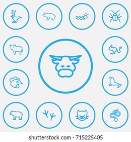 Set Of 13 Editable Zoo Outline Icons. Includes Symbols Such As Beetle, Predator, Buffalo And More. Can Be Used For Web, Mobile, UI And Infographic Design.