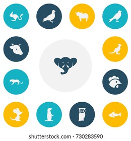 Set Of 13 Editable Zoology Icons. Includes Symbols Such As Rooster, Bull, Lynx And More. Can Be Used For Web, Mobile, UI And Infographic Design.