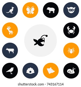 Set Of 13 Editable Zoology Icons. Includes Symbols Such As Moth, Night Fowl, Escargot And More. Can Be Used For Web, Mobile, UI And Infographic Design.