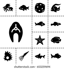 Set of 13 filled aquatic icons such as fish, starfish, extinct sea creature