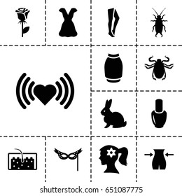 set of 13 filled beautiful icons such as rabbit, beetle, nail polish, woman face with flower in hair, slim, heart, tights, skirt, dress, rose, hair