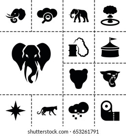Set of 13 filled big icons such as panther, elephant, paper towel
