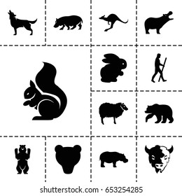 Set of 13 filled mammal icons such as rabbit, bear, hippopotamus, sheep
