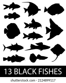 Set of 13 fish silhouettes ideal for a maritime theme