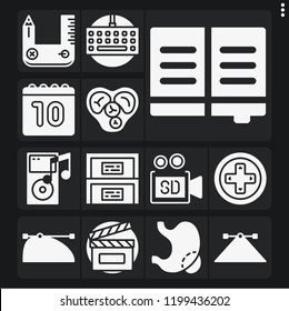 Set Of 13 Flat Filled Icons Such As Book, Stomach, Ipod, Clapperboard, Heart, Keyboard, Gamepad, Video Camera, Calendar, , Cabinet