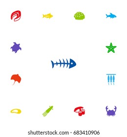 Set Of 13 Food Icons Set.Collection Of Calamary, Asteroid, Clam And Other Elements.