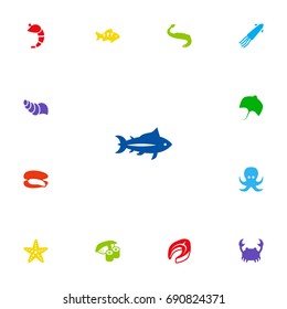 Set Of 13 Food Icons Set.Collection Of Beefsteak, Shell, Devilfish And Other Elements.