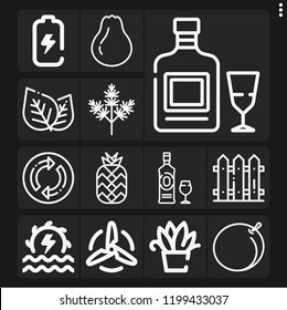 Set of 13 green outline icons such as battery, hydro power, leaf, plant, gin, turbine, fence, absinthe, refresh, dill, peach, pineapple