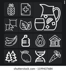 Set of 13 green outline icons such as plastic, wood house, leaf, sangria, forest, add button, gmo, avocado, bananas, carrot, pineapple, lemon