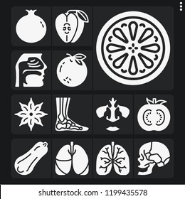 Set of 13 health filled icons such as lungs, nose, skull, nasal, ankle, lemon, orange, tomato, apple, anise, butternut squash