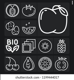 Set of 13 natural outline icons such as layers, bio, watermelon, mango, orange, tomato, kiwi, peach, pineapple, apple, potatoes