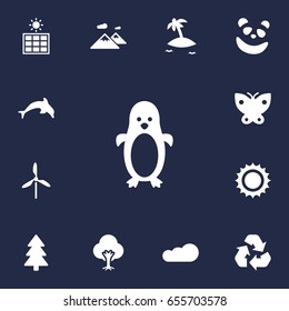 Set Of 13 Nature Icons Set.Collection Of Wind Energy, Solar Panel, Solar And Other Elements.