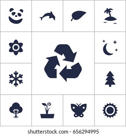 Set Of 13 Nature Icons Set.Collection Of Winter Snow, Bear, Bloom And Other Elements.