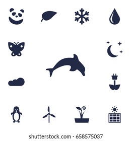 Set Of 13 Nature Icons Set.Collection Of Blob, Solar Panel, Green Power And Other Elements.