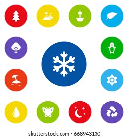 Set Of 13 Nature Icons Set.Collection Of Spruce, Green Power, Moth And Other Elements.