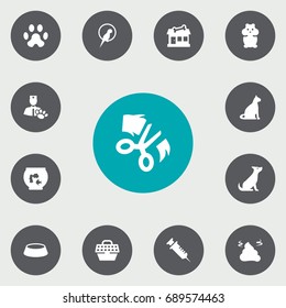 Set Of 13 Pets Icons Set.Collection Of Store, Fishbowl, Rat And Other Elements.