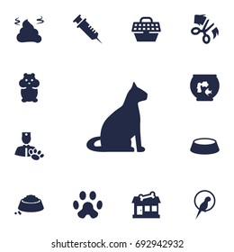 Set Of 13 Pets Icons Set.Collection Of Bird, Store, Veterinarian And Other Elements.