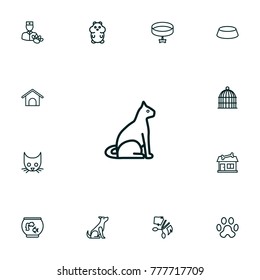 Set Of 13 Pets Outline Icons Set.Collection Of Caw, Cat, Grooming And Other Elements.
