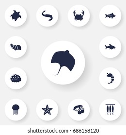 Set Of 13 Sea Icons Set.Collection Of Acne, Medusa, Tortoise And Other Elements.