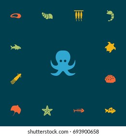 Set Of 13 Sea Icons Set.Collection Of Sink, Remains, Calamary And Other Elements.