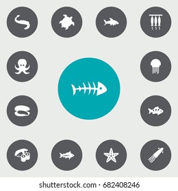 Set Of 13 Seafood Icons Set.Collection Of Devilfish, Tunny, Acne And Other Elements.