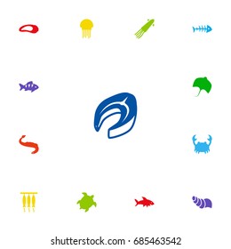 Set Of 13 Seafood Icons Set.Collection Of Medusa, Shark, Remains And Other Elements.