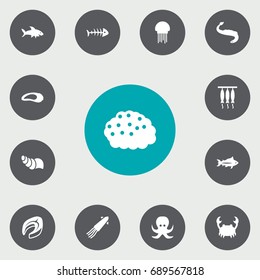 Set Of 13 Seafood Icons Set.Collection Of Tunny, Devilfish, Sink And Other Elements.