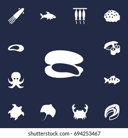 Set Of 13 Seafood Icons Set.Collection Of Roe, Tortoise, Shell And Other Elements.
