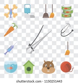 Set Of 13 simple editable icons such as Nail trimmer, Yarn, Hamster, Birdhouse, Aquarium, Broom, Syringe, Stethoscope, Carrot, web ui icon pack